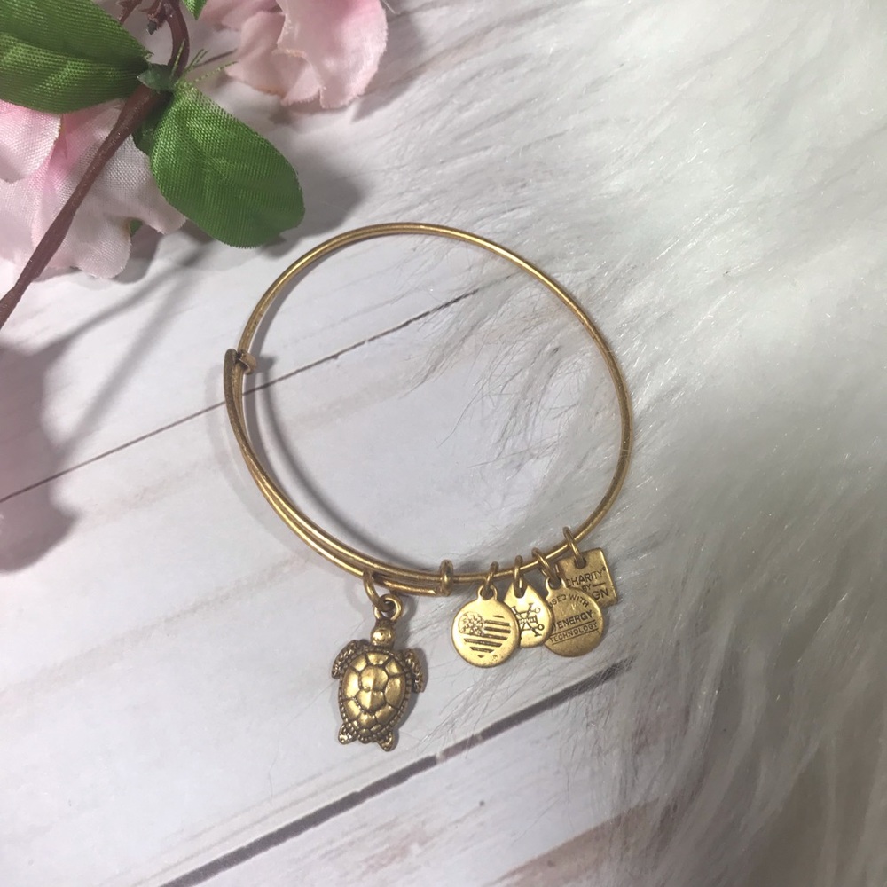 Alex and Ani turtle bracelet